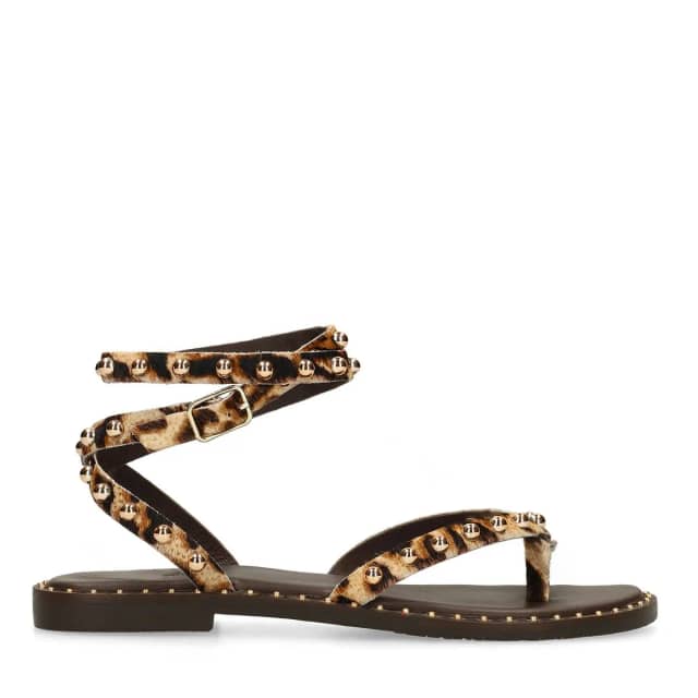 Sacha Leopard sandalen met goudkleurige studs